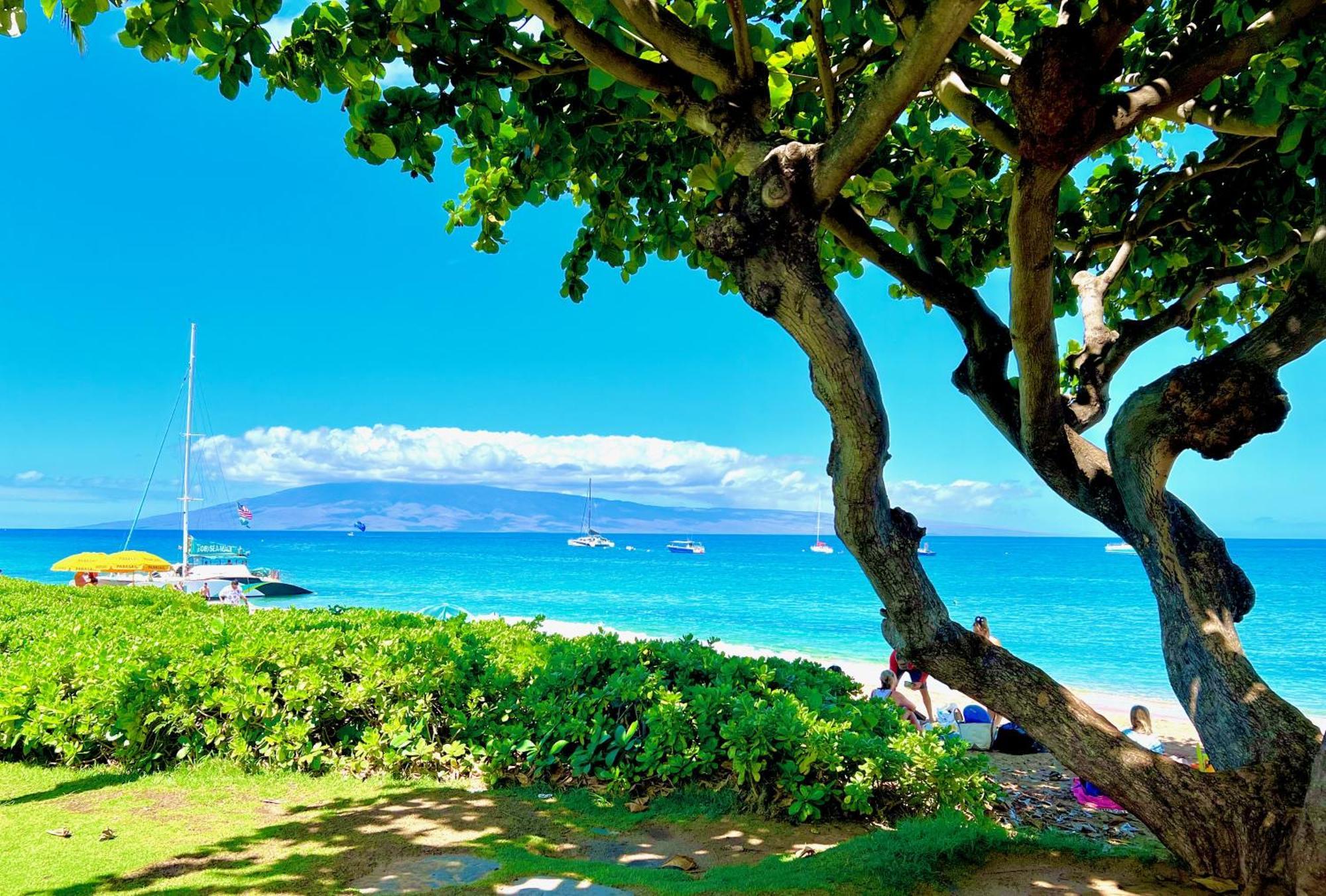Alloggio in famiglia Kaanapali's Royal Luxury Plantation & Golf Retreat *